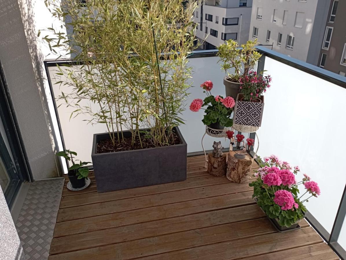 Chambre Nature Chez L'Habitant Straßburg Exterior foto